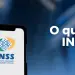 O que é INSS